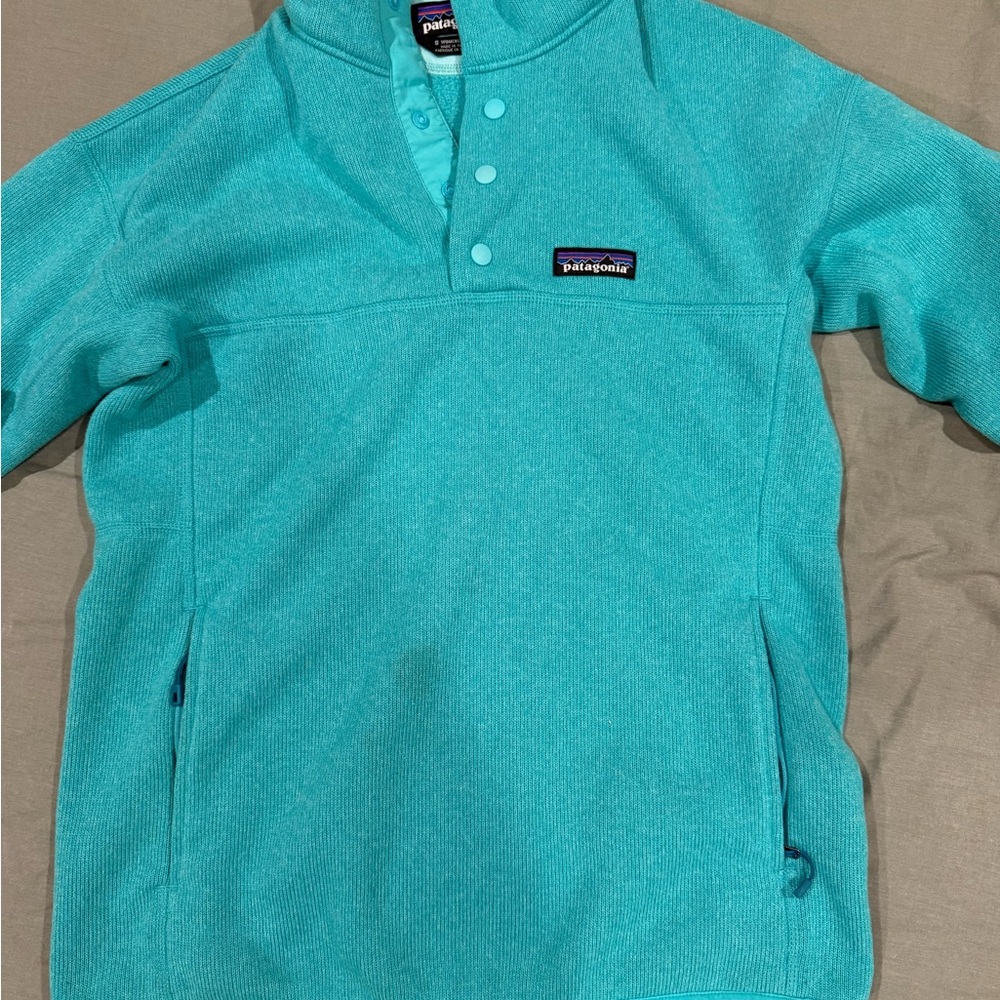 Patagonia Teal Pullover Fleece